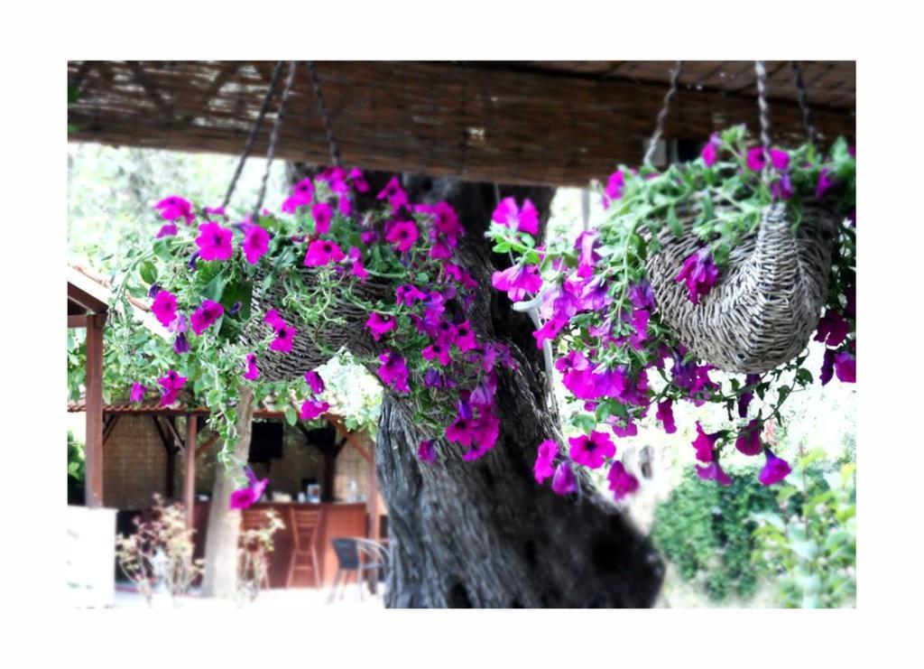 Aneton Aparthotel Chrysi Ammoudia Bagian luar foto