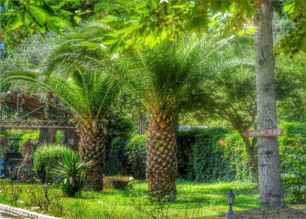 Aneton Aparthotel Chrysi Ammoudia Bagian luar foto