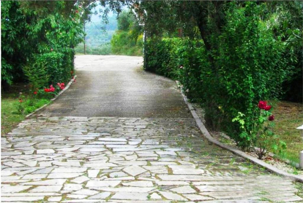 Aneton Aparthotel Chrysi Ammoudia Bagian luar foto