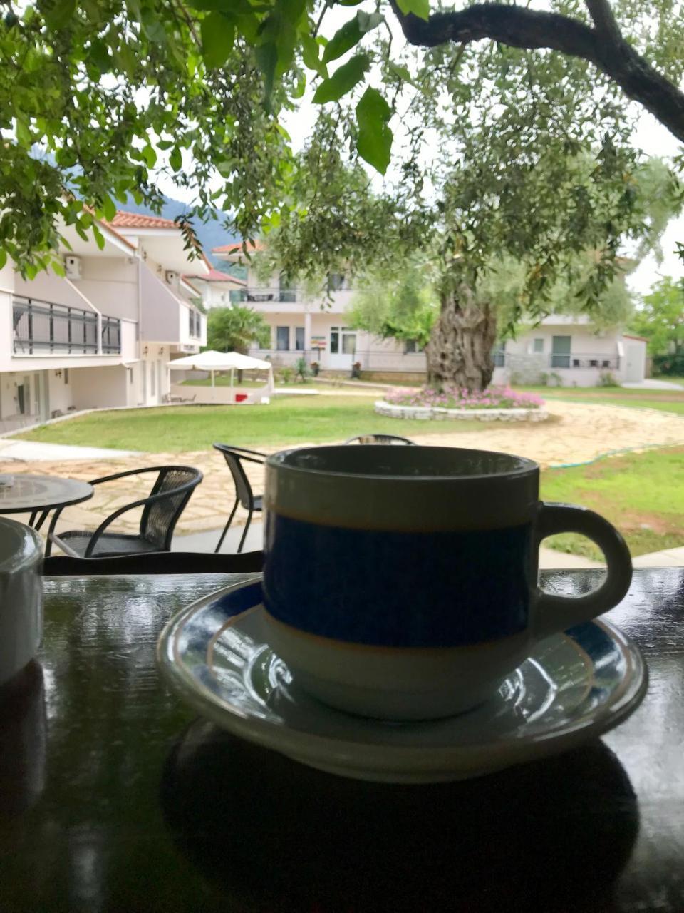 Aneton Aparthotel Chrysi Ammoudia Bagian luar foto